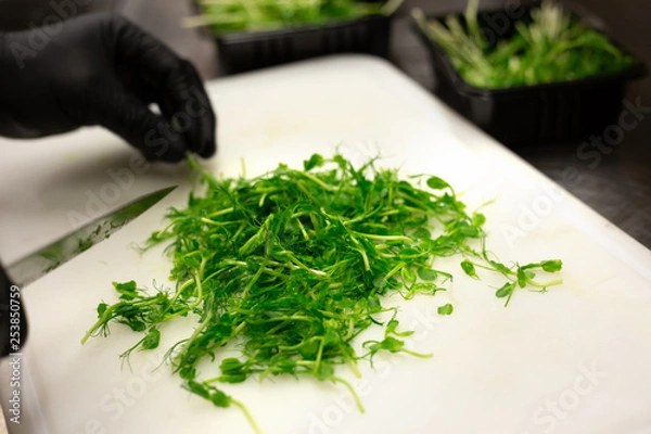 Fototapeta Gloved hands cutting green pea sprouts with knife on white plastic chopping board.