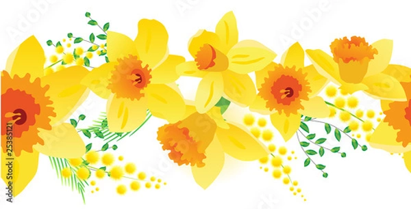 Fototapeta Seamless horizontal spring daffodil pattern