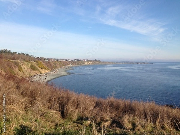 Obraz Coastline with grasses, British Columbia