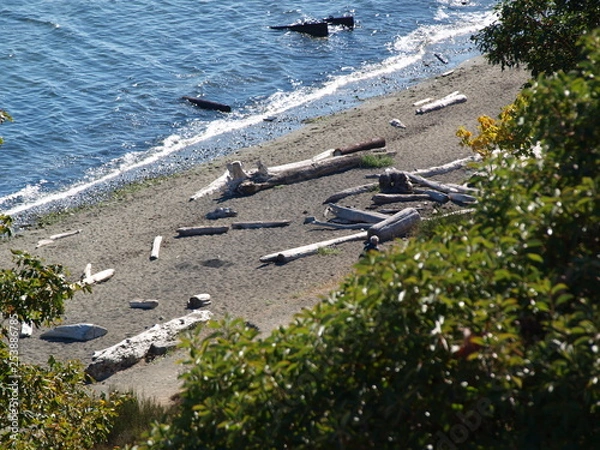 Obraz Empty beach with logs
