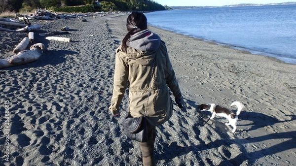 Obraz Dog walker on beach