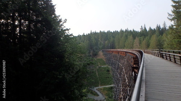 Obraz Old wooden railway trestle in forest (Kinsol Trestle, British Columbia)