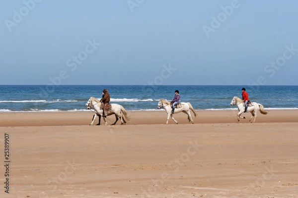 Fototapeta ballade de chevaux sur la plage