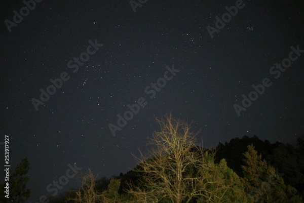 Obraz オリオン座とおうし座