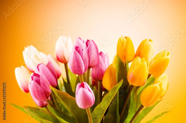 Fototapeta Bouquet of colorful tulips on the table