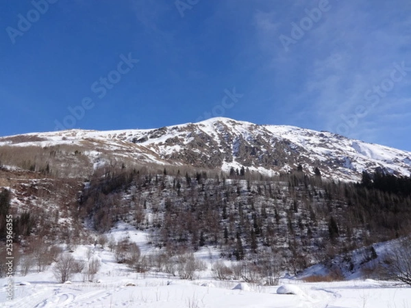Fototapeta mountains in winter
