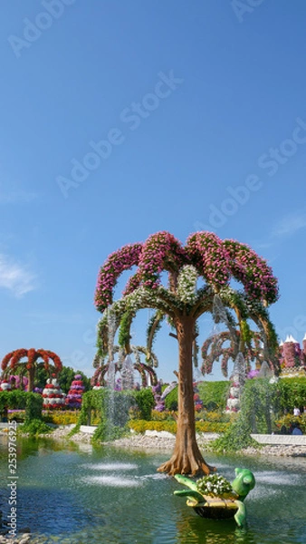 Obraz Dubai Miracle Garden