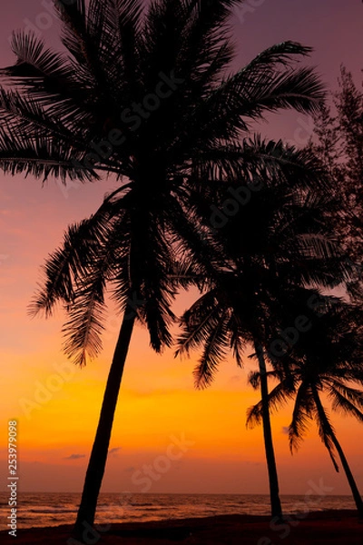 Obraz Sunset At Miami