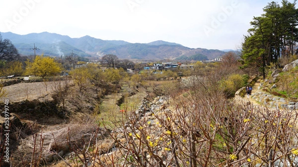 Fototapeta 광양 매화축제 11