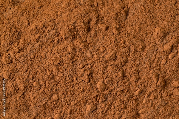 Fototapeta  Cocoa powder close up