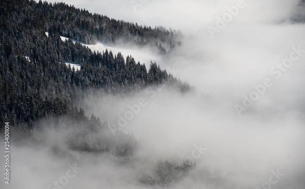 Fototapeta The clouds rolll over the trees