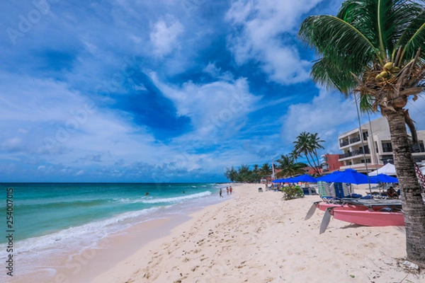 Obraz Luxury Beaches of the Paradise Island, Barbados, Caribbean