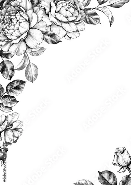Obraz Elegant Background with Rose Flowers