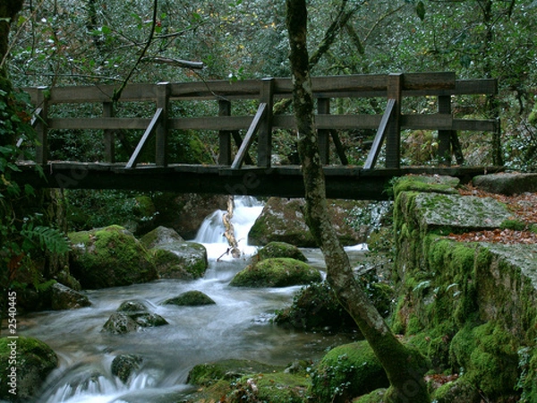 Obraz wooden bridge