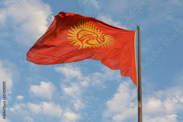 Fototapeta Kyrgyzstan flag waving on the wind