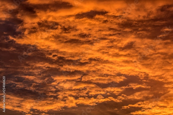 Fototapeta orange sky after sun set