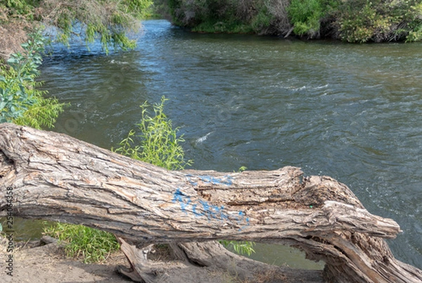 Obraz Grafiti in Park