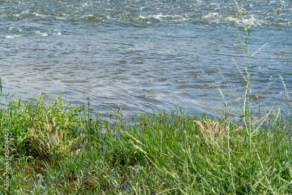 Obraz Grass and River