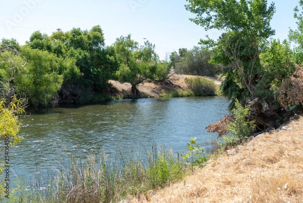 Obraz river in forest