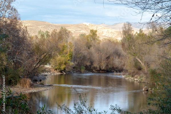 Fototapeta river between Trees