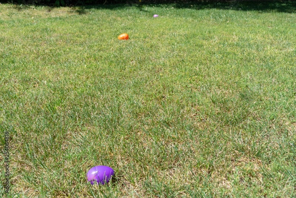 Obraz Easter eggs in yeard