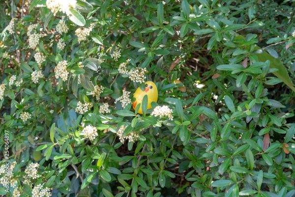 Obraz Chick Egg in Garden