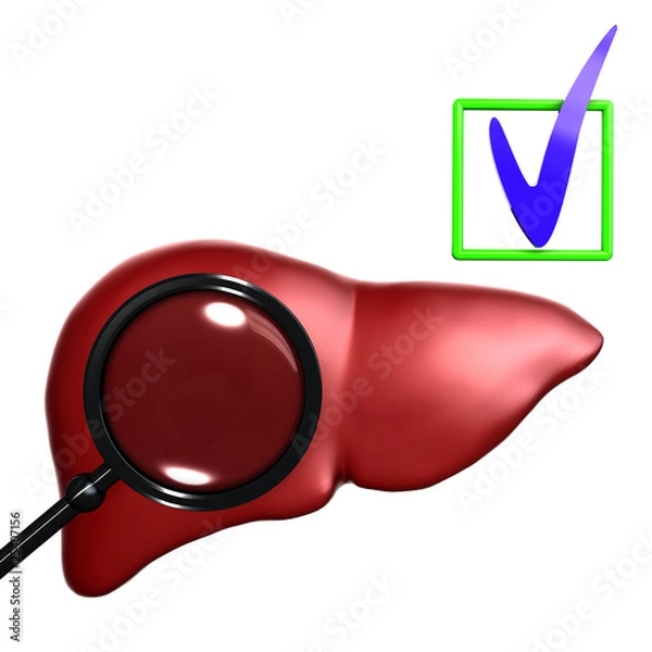 Obraz Red  Human liver with mesoscope