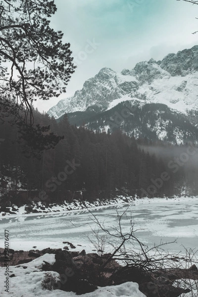 Fototapeta Eibsee nadelholz