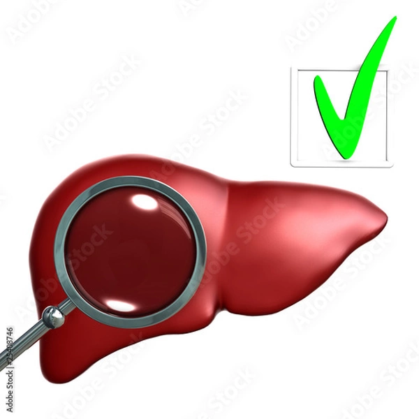 Obraz Testing Red  Human liver with magniglass