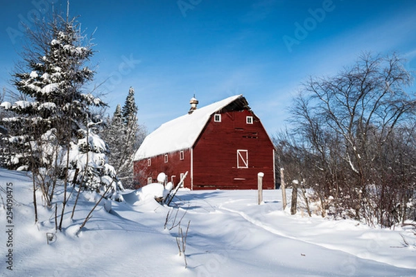 Obraz Winter Farm