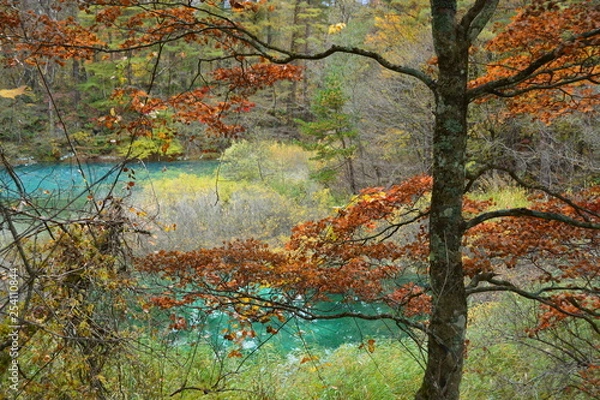 Fototapeta 福島県の五色沼の景観
