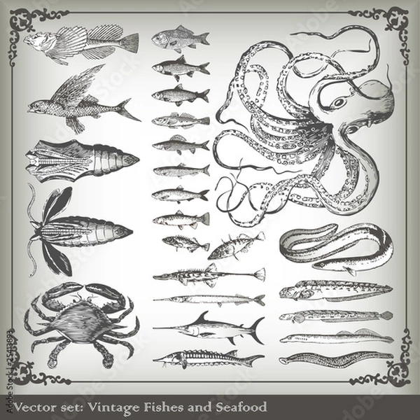 Obraz Vector set: fish and sea food