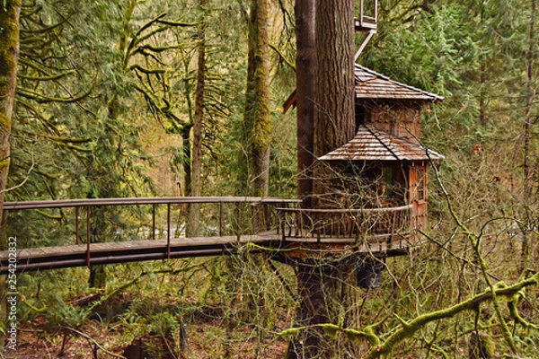 Fototapeta treehouse