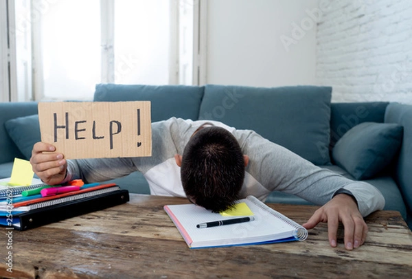 Fototapeta Young desperate student in stress working and studying holding a help sign.
