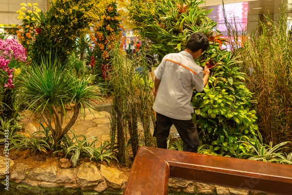 Fototapeta A gardener takes care of the garden at the airport. Landscaping works. Watering