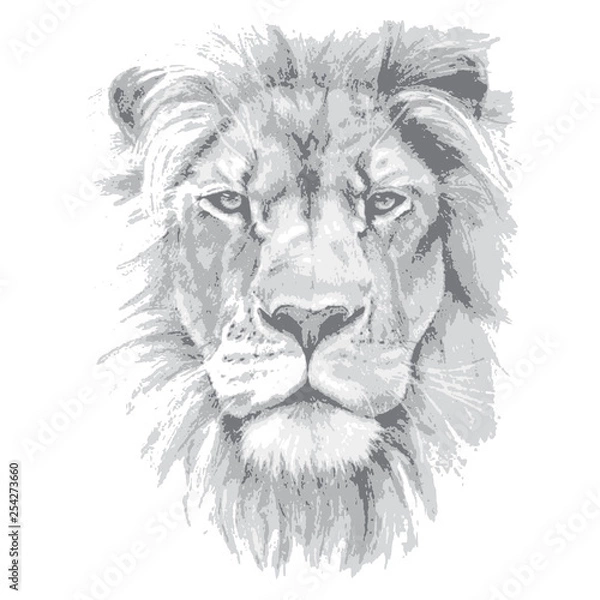 Obraz Lion head. Hand drawn vector illustration