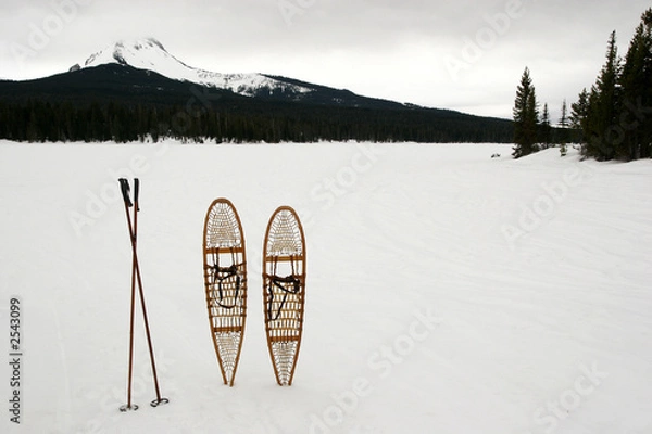 Obraz snow shoes
