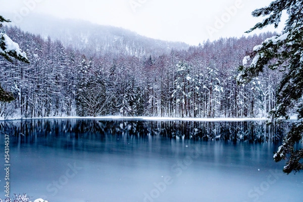 Fototapeta 冬の御射鹿池