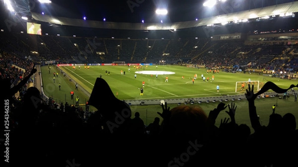 Obraz Football, soccer fans support their team and celebrate goal, score, victory. Full stadium