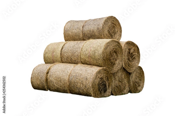 Fototapeta Stacked like a pyramid, bales of straw, tightened mesh . Feed and bedding for livestock on a dairy farm. General view.  Isolated photo .