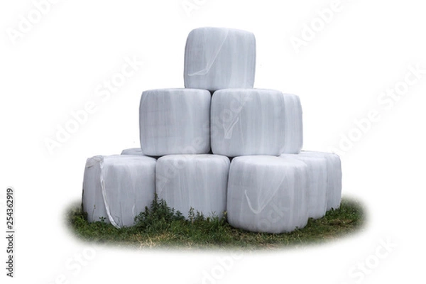 Fototapeta Stacked like a pyramid,bales of silage , wrapped in a membrane. Food  for the cows in the winter on a dairy farm. General view.  Isolated photo .