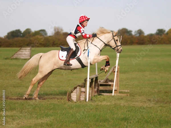 Obraz Cross Country Jump