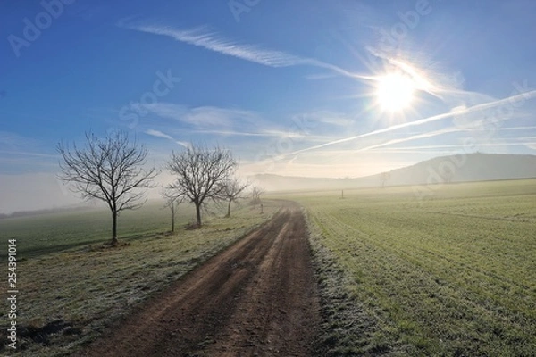 Obraz Follow the path