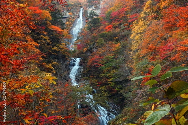Obraz 石空川渓谷・北精進ヶ滝