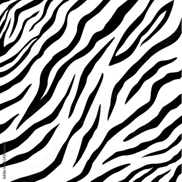 Obraz Vector zebra pattern for background