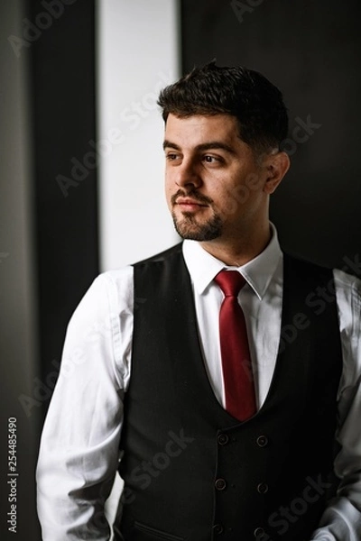 Obraz A handsome man in a black suit and a red tie posing at the big window. Business portrait of a man.