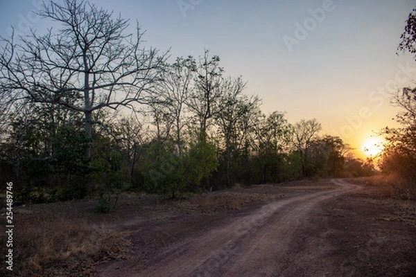 Obraz Beautiful natural scenery