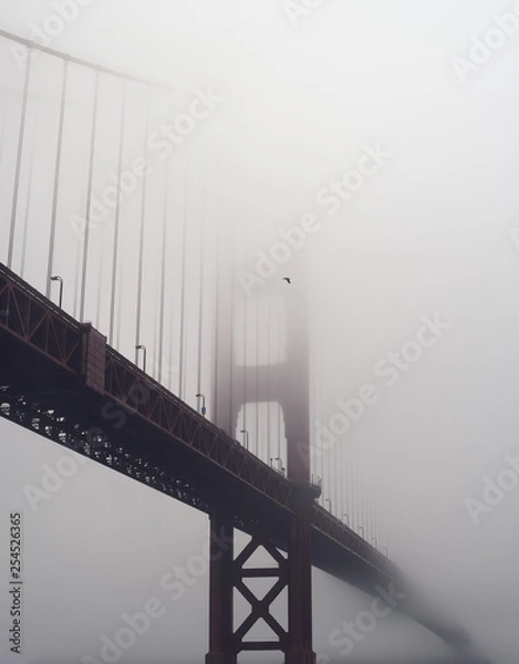 Obraz Heavy morning fog surrounds the Golden Gate Bridge
