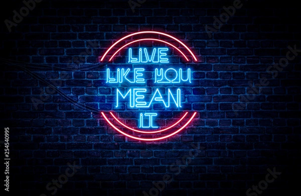 Fototapeta A sign showing Wisconsin state slogan, in blue and red neon light on a brick wall background and wires on the side.