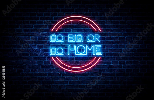 Fototapeta A sign showing Texas state slogan, in blue and red neon light on a brick wall background and wires on the side.